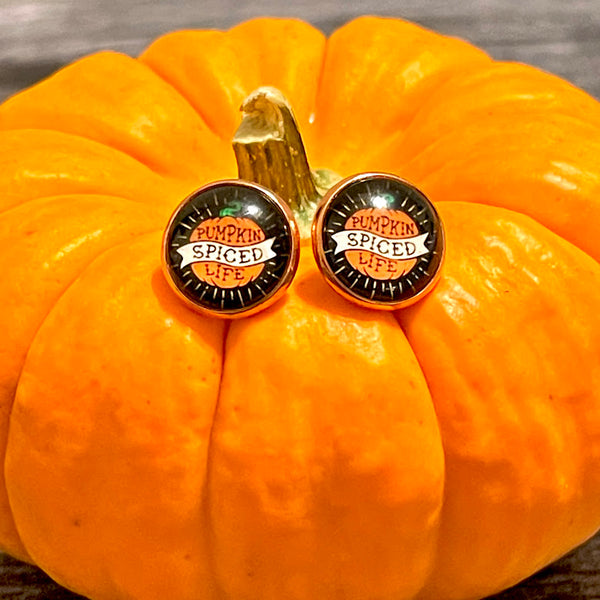 All Up In The Hair | Online Accessory Boutique Located in Mooresville, NC | Two pumpkin spice life earrings sitting on top of a small pumpkin.